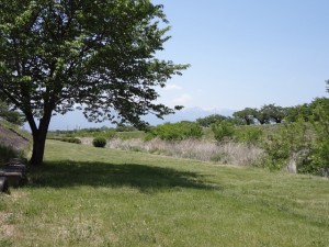 薄川河川敷 （松本市）